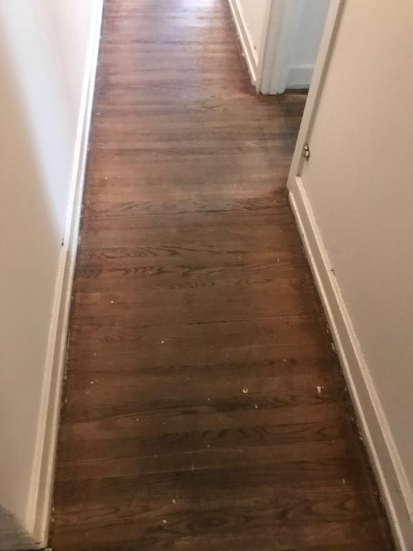 Apartment for rent at 309 W Beaver Ave #4, State College, PA 16801
