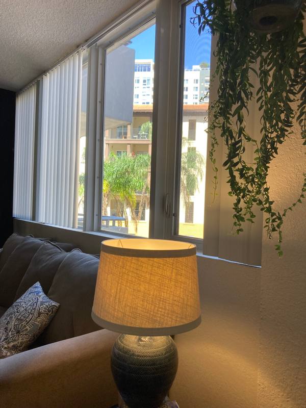 Condo for rent at 470 3rd St S #216, Saint Petersburg, FL 33701