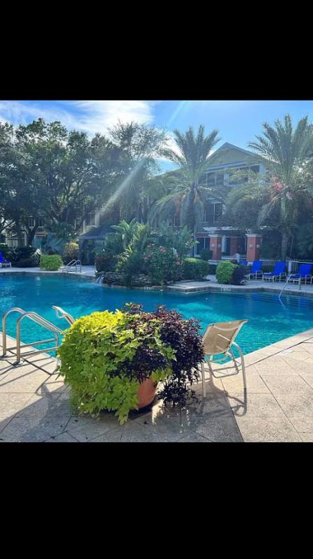 Condo for rent at 4207 S Dale Mabry Highway 7209, Tampa, FL 33611