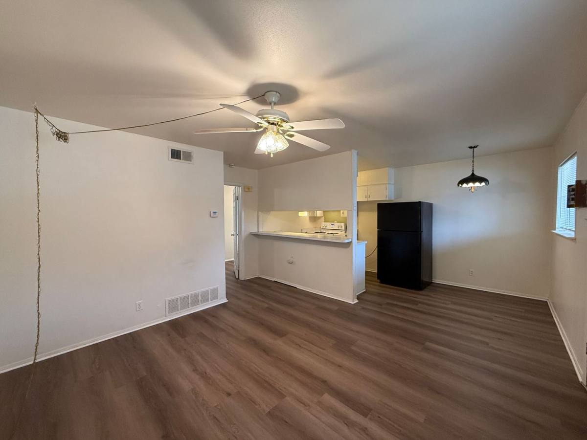 House for rent at 163 Richter, New Braunfels, TX 78130