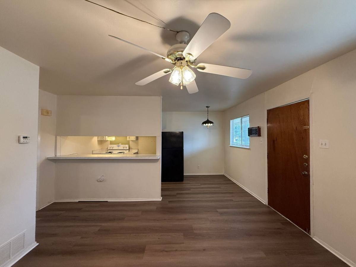 House for rent at 163 Richter, New Braunfels, TX 78130