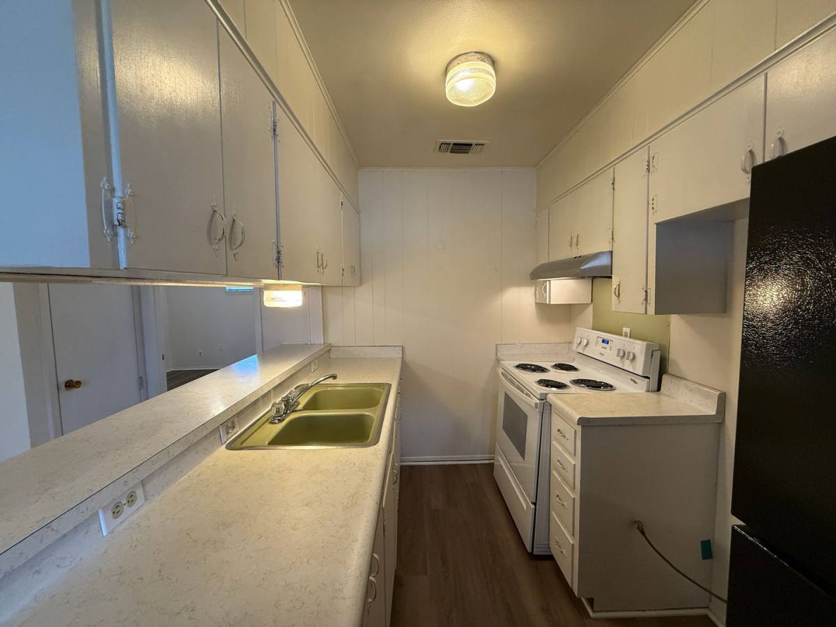 House for rent at 163 Richter, New Braunfels, TX 78130