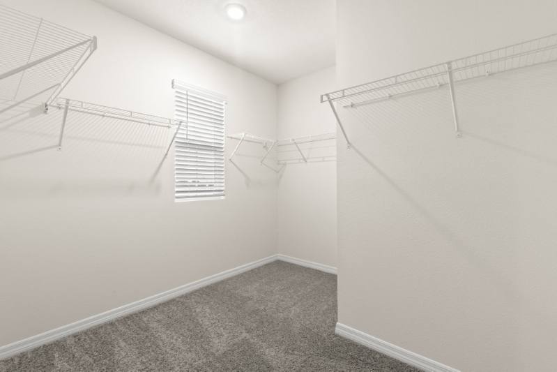 House for rent at 31470 Penny Surf Loop, Wesley Chapel, FL 33545