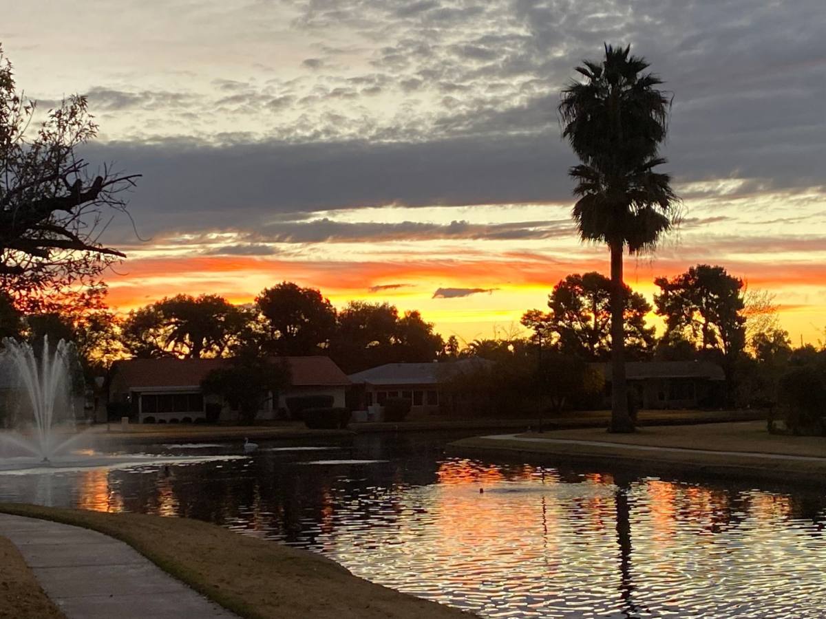 House for rent at 574 Leisure World, Mesa, AZ 85206