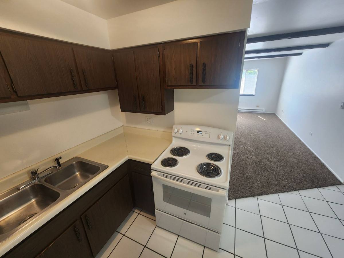 Apartment for rent at 1140 Lathrop, Forest Park, IL 60130