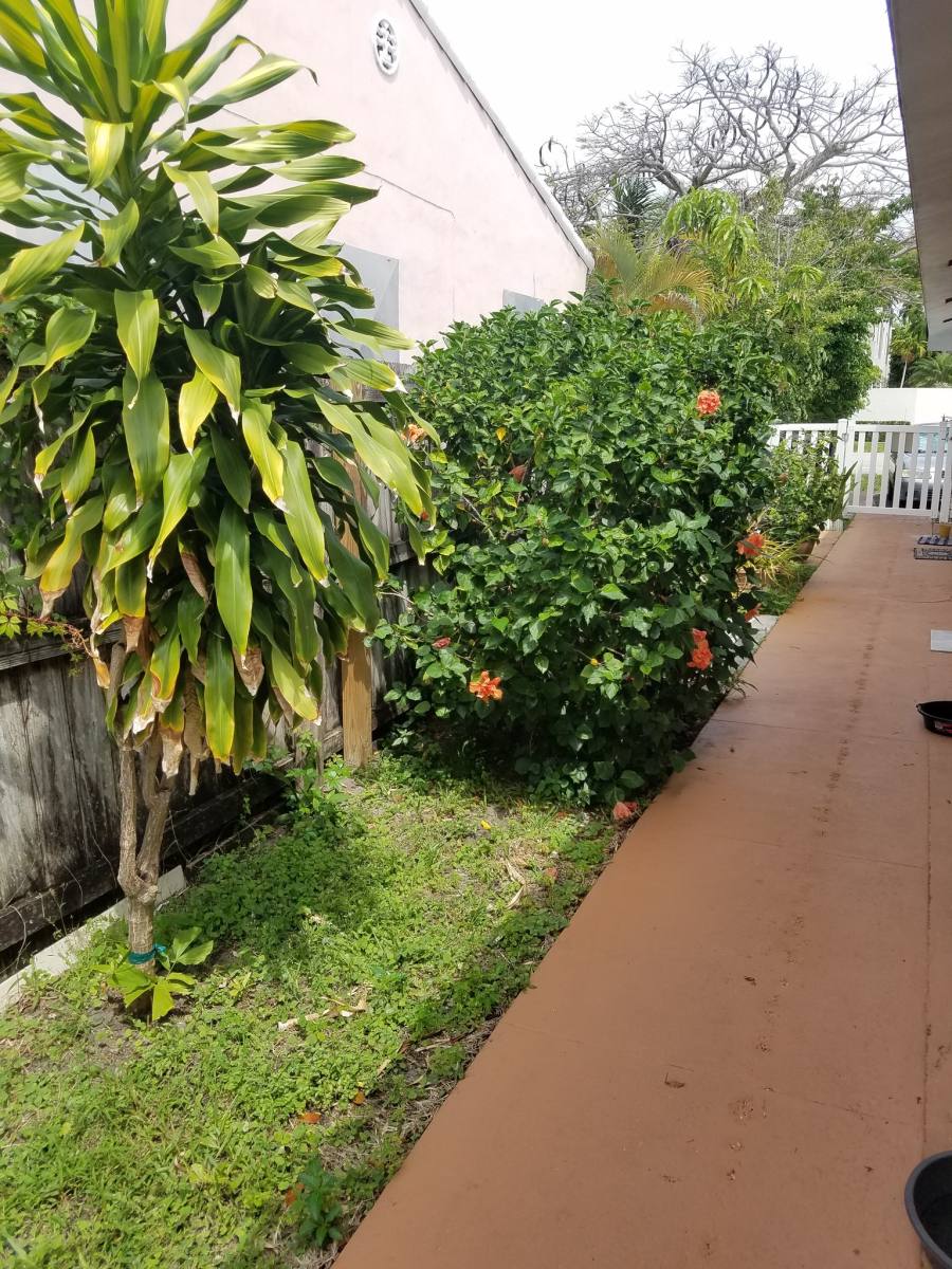 Apartment for rent at 1408 NE 6 St #2, Fort Lauderdale, FL 33304