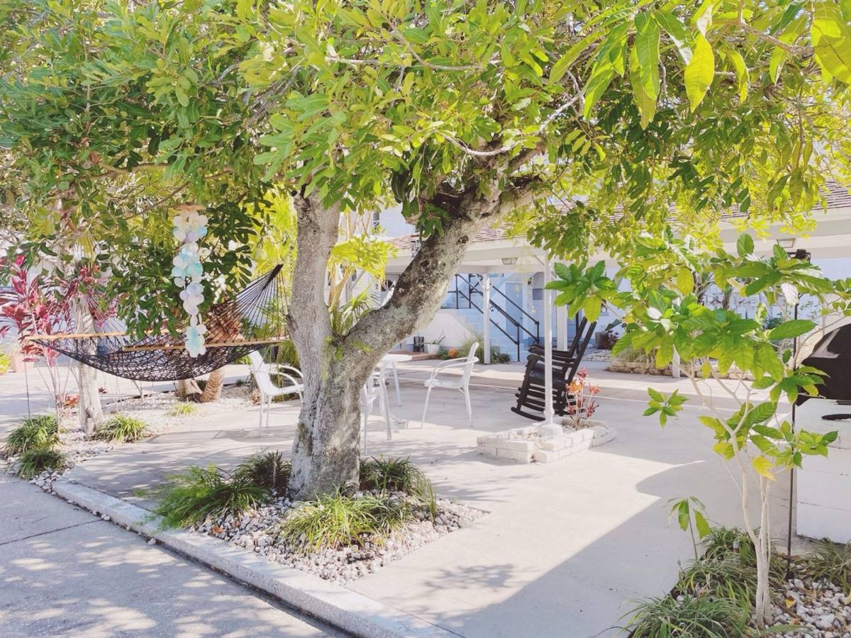 Apartment for rent at 3709 W San Rafael St, Tampa, FL 33629