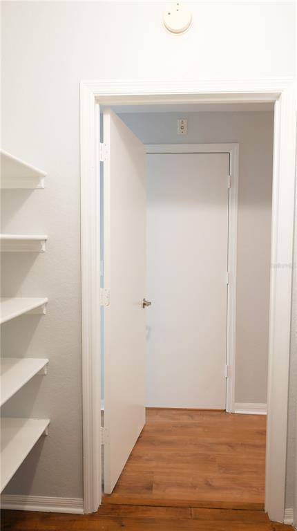 Apartment for rent at 501 S Moody Ave #5011119A, Tampa, FL 33609