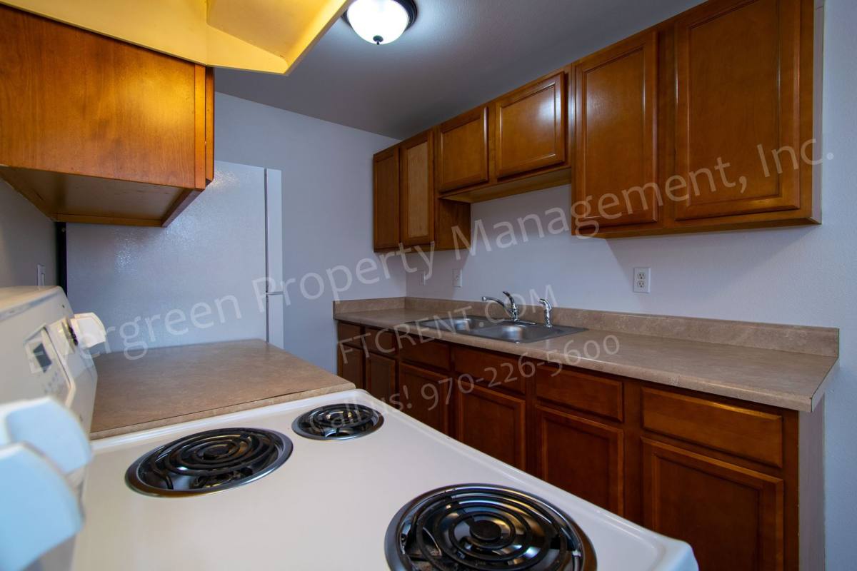 Apartment for rent at 208 S Jefferson Ave, Loveland, CO 80537