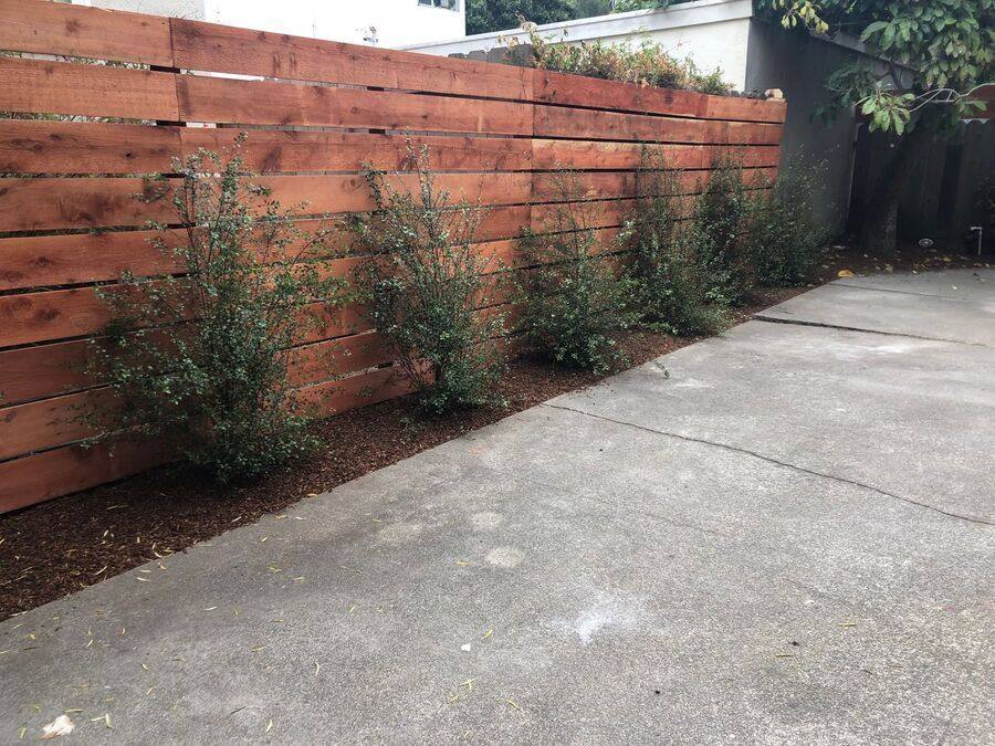 Apartment for rent at 3442 Santa Clara Ave #2, El Cerrito, CA 94530