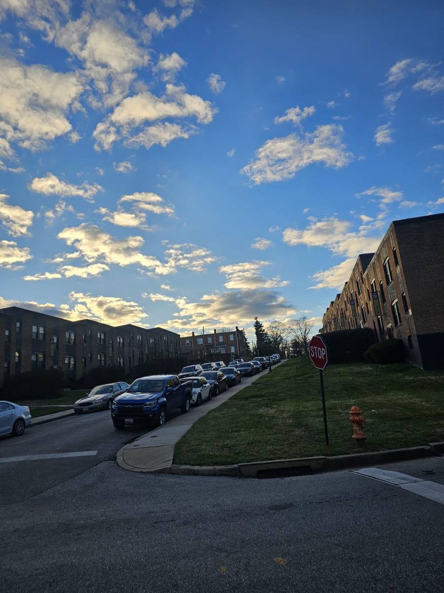 Apartment for rent at 201 S Beechfield Ave, Baltimore, MD 21229