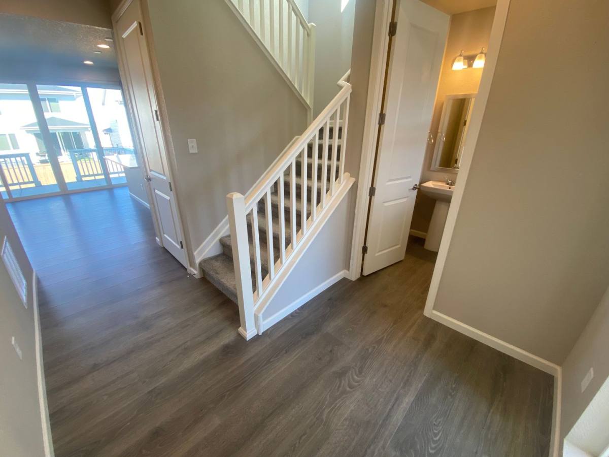 House for rent at 238 Silver Rock Trail, Castle Rock, CO 80104