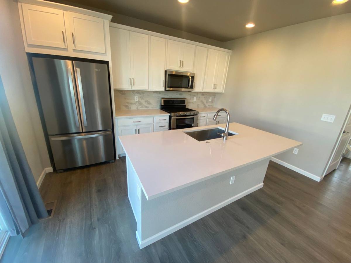 House for rent at 238 Silver Rock Trail, Castle Rock, CO 80104