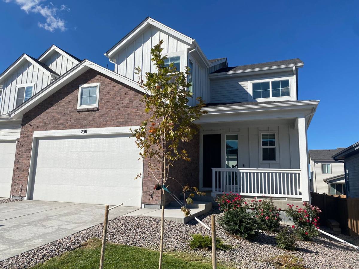 House for rent at 238 Silver Rock Trail, Castle Rock, CO 80104