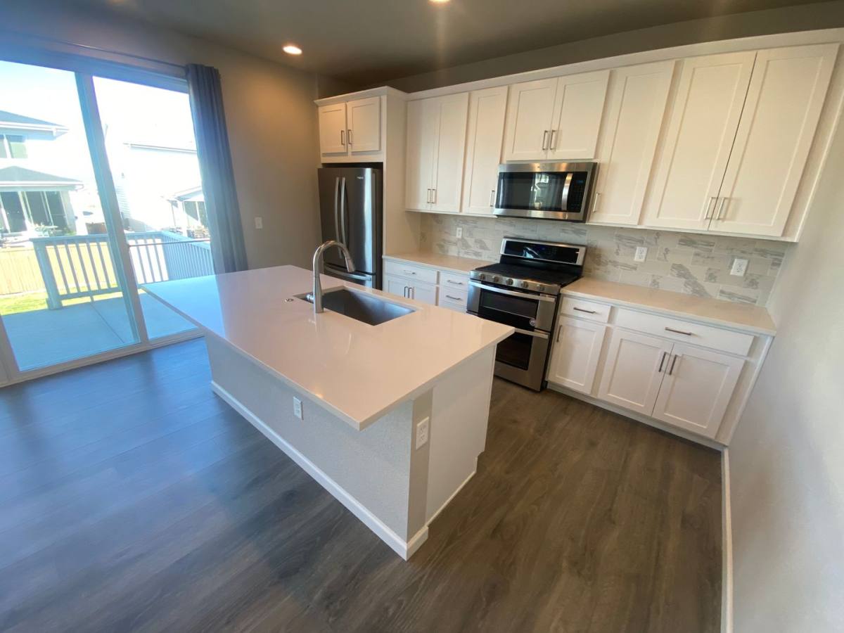 House for rent at 238 Silver Rock Trail, Castle Rock, CO 80104