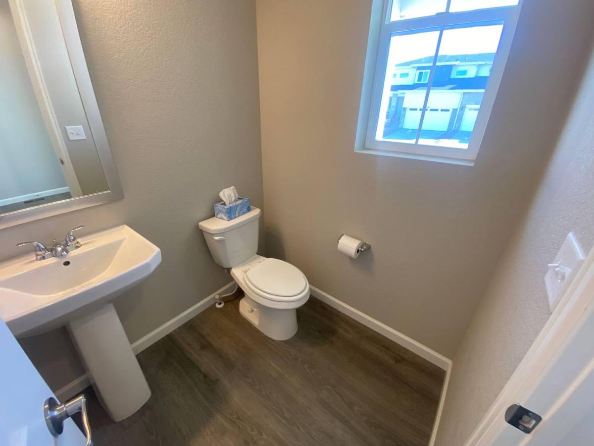 House for rent at 238 Silver Rock Trail, Castle Rock, CO 80104