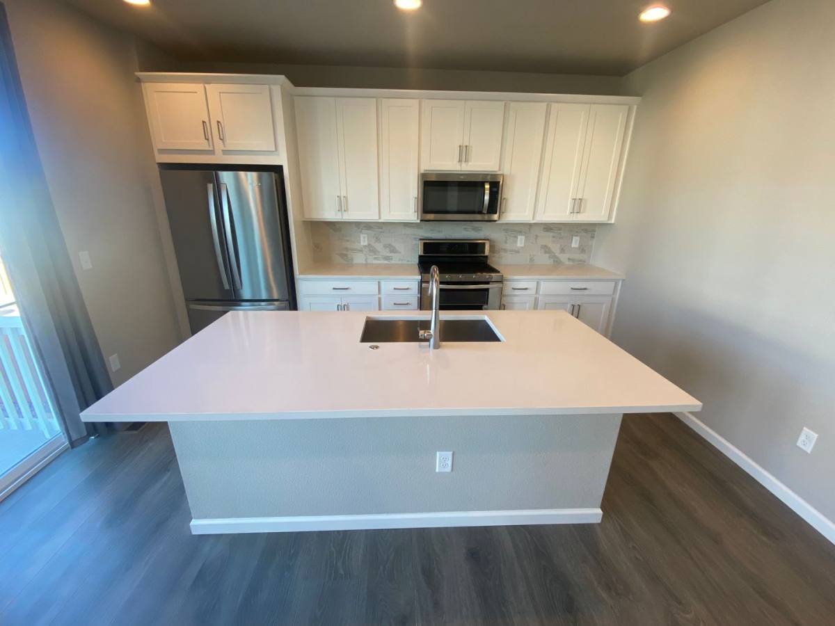 House for rent at 238 Silver Rock Trail, Castle Rock, CO 80104