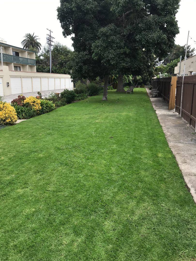 Apartment for rent at 902-910 Venice Blvd 2404-2426 Grandview Ave, Venice, CA 90291