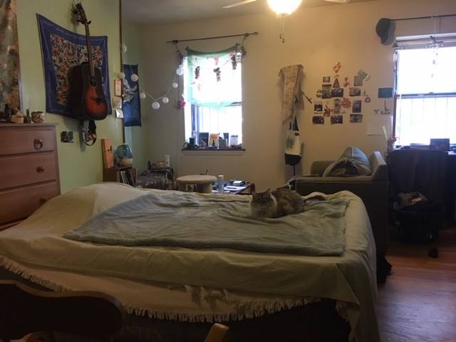 Apartment for rent at 471 Massachusetts Ave #2-2, Boston, MA 02116