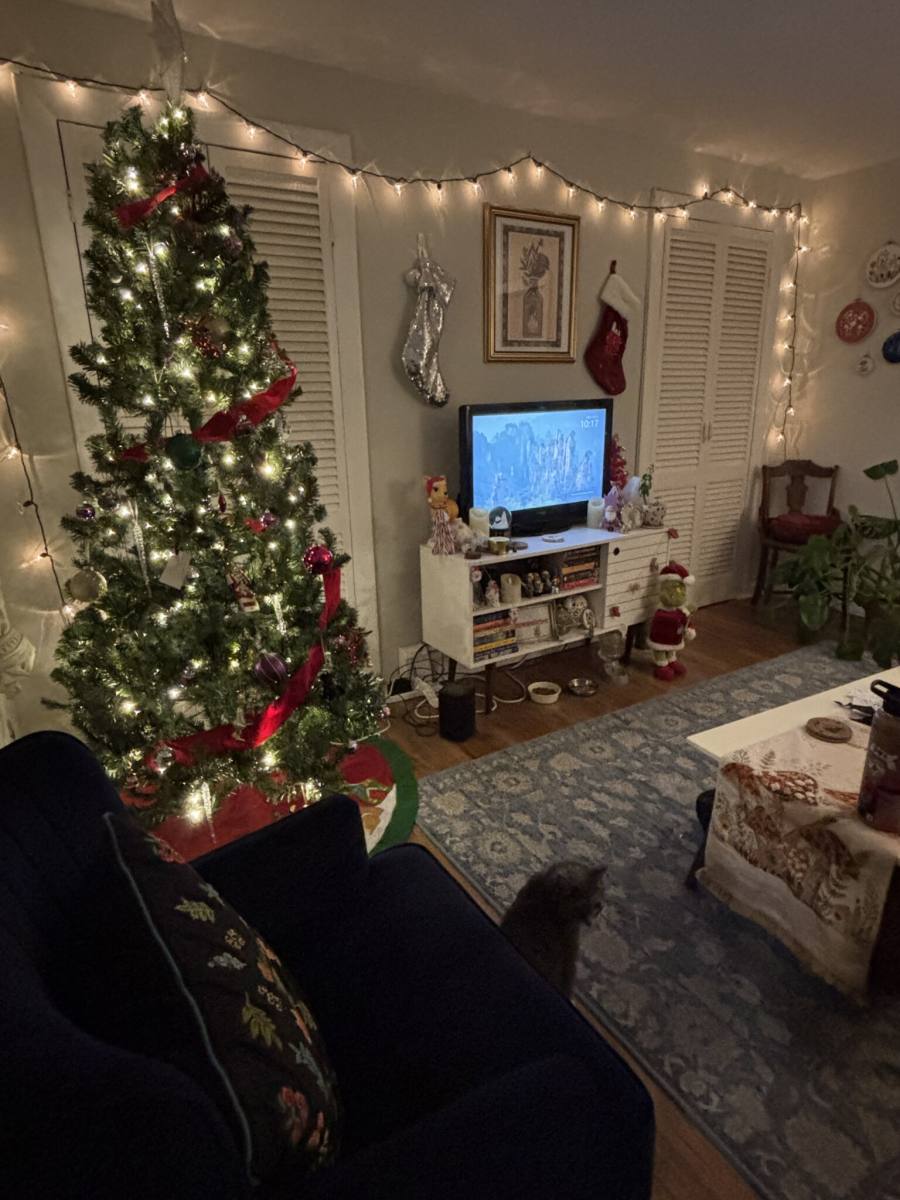 Apartment for rent at 247 Bennington St #3, East Boston, MA 02128
