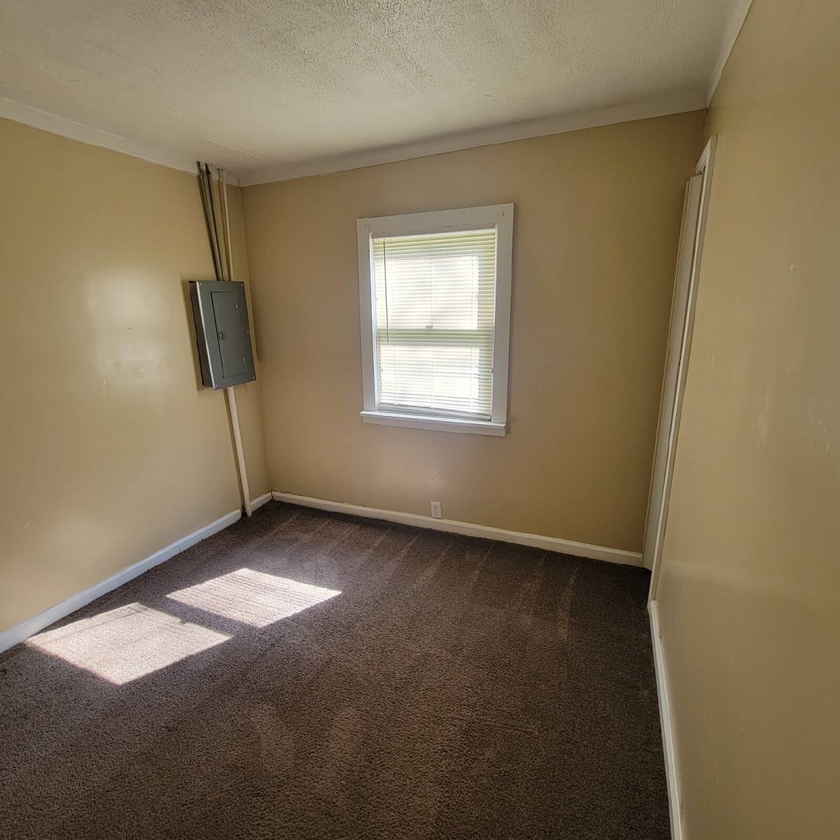 House for rent at 3011 N Tacoma Ave, Indianapolis, IN 46218