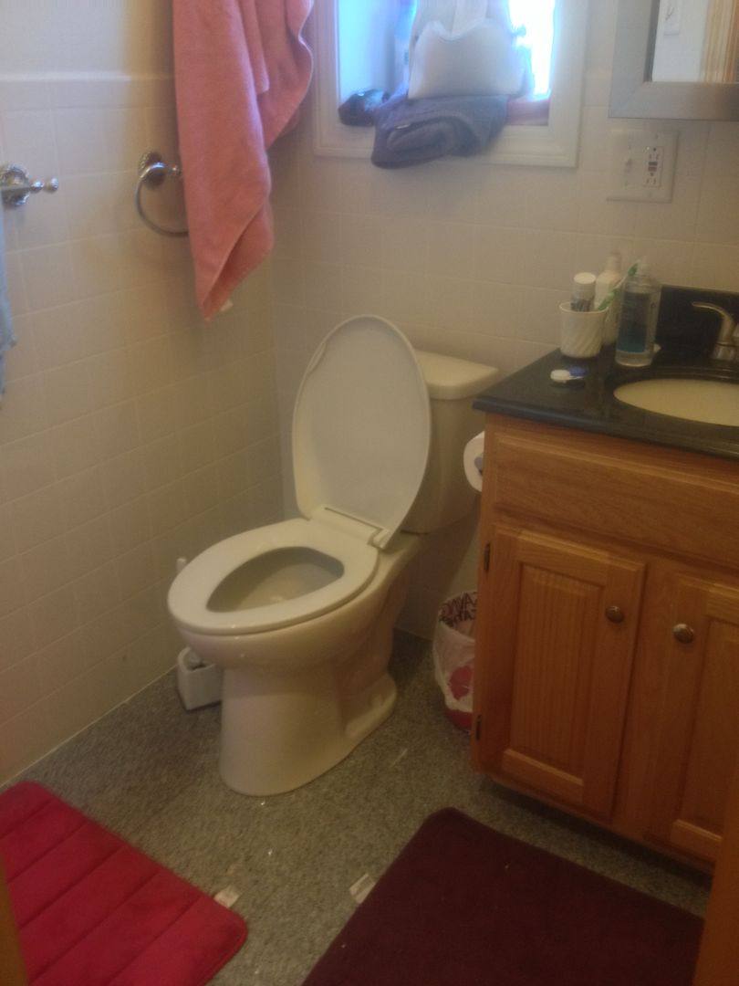 Apartment for rent at 127 Cedar St, Roxbury, MA 02119
