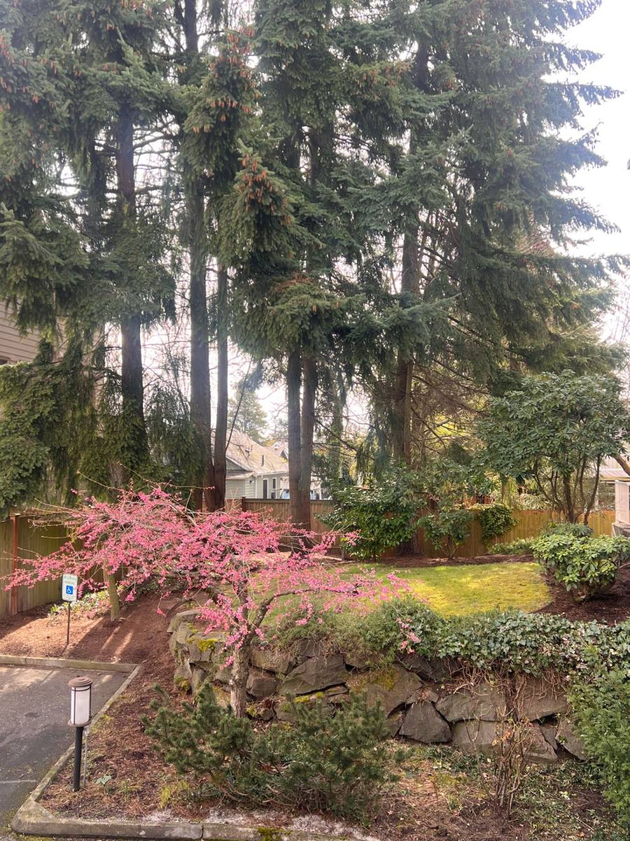 Apartment for rent at 1901 1903 NE, Seattle, WA 98115