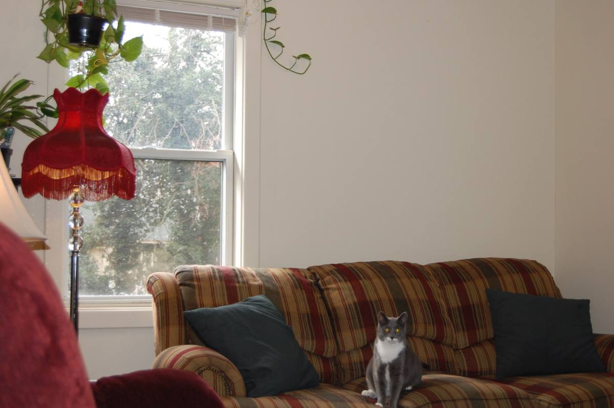 Apartment for rent at 99 Rose St, Staunton, VA 24401