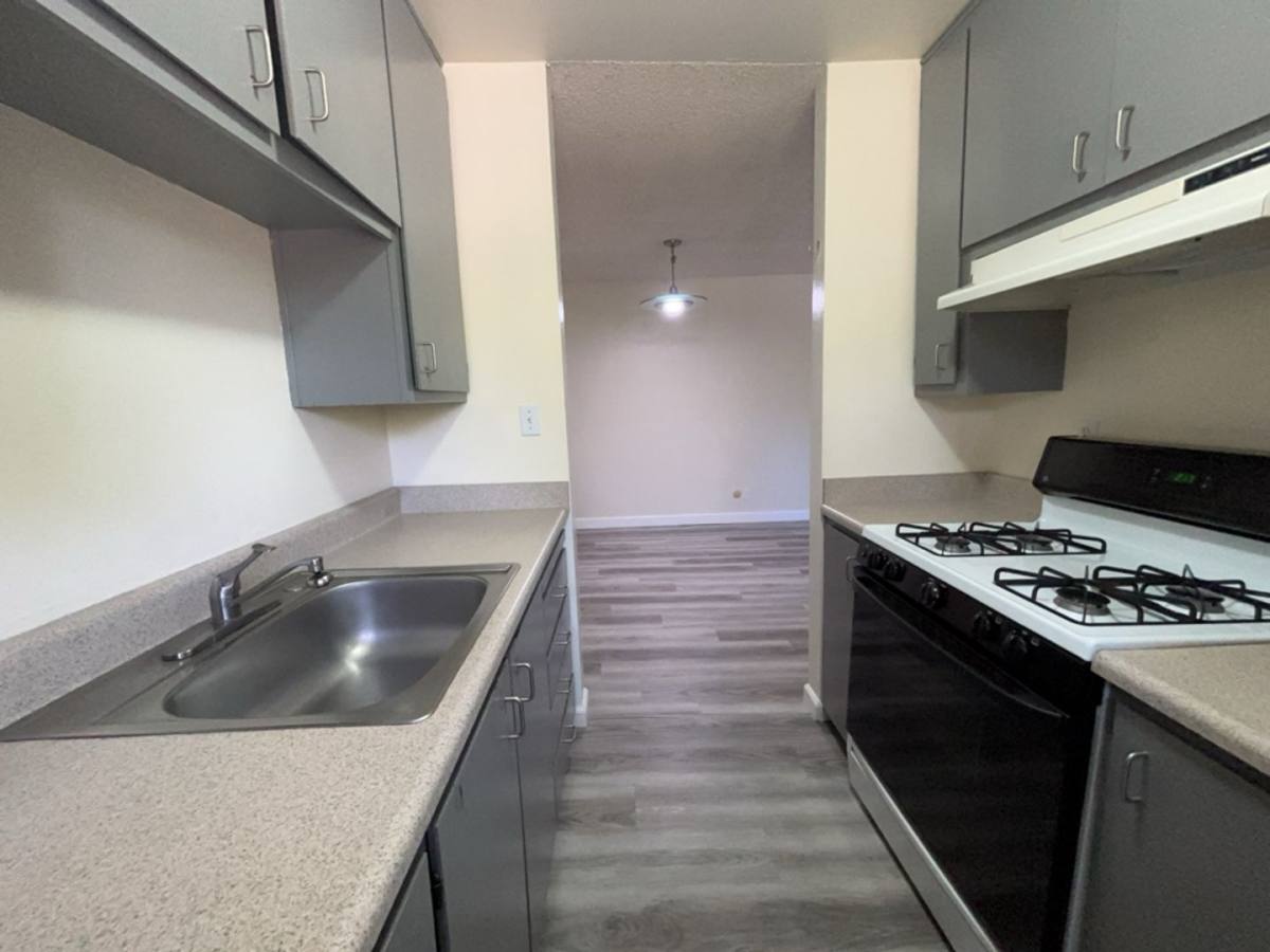 Apartment for rent at 1901 Donner Ave, Davis, CA 95618