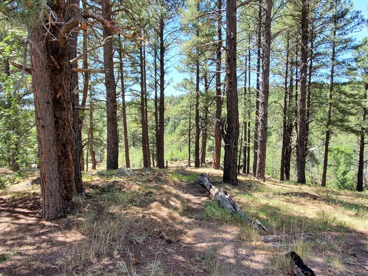 House for rent at Kachina Village, 2678 Mesa Trail #1, Flagstaff, AZ 86005