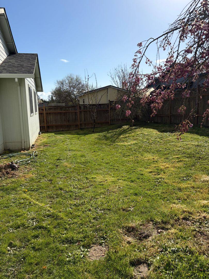 House for rent at 183 E Roosevelt St, Carlton, OR 97111