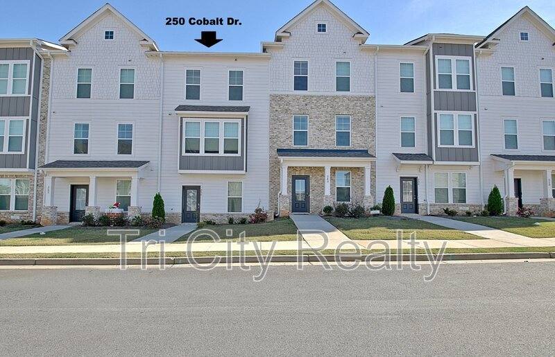 Townhouse for rent at 250 Cobalt Dr, Fayetteville, GA 30214