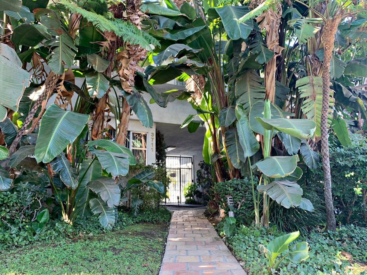 Apartment for rent at 3711 Mentone Ave, Los Angeles, CA 90034
