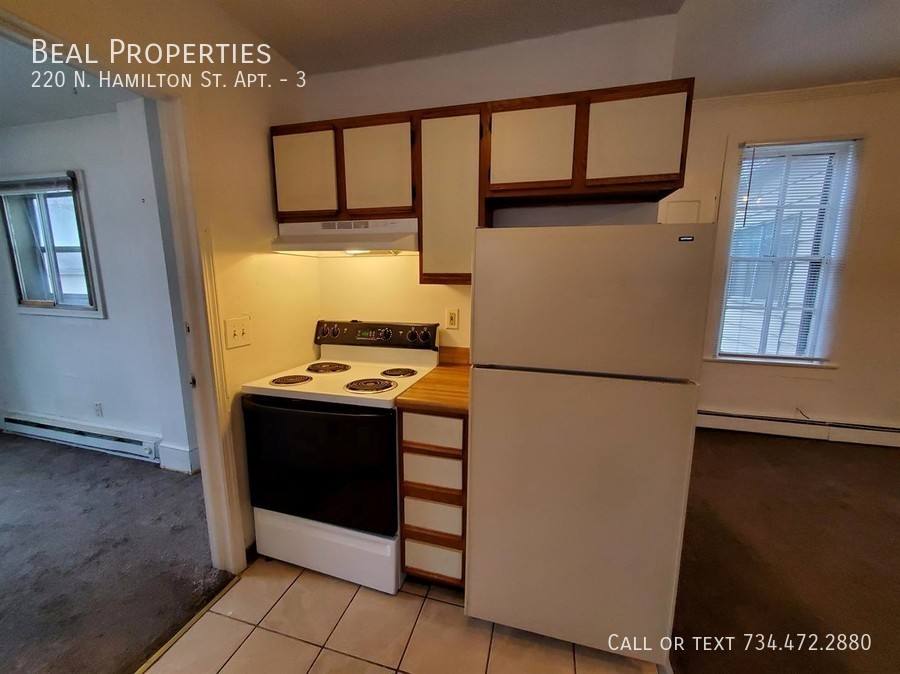 Apartment for rent at 220 N Hamilton St #3, Ypsilanti, MI 48197