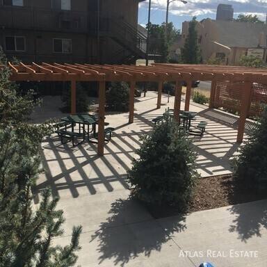 Apartment for rent at 2550 N Ogden St #3, Denver, CO 80205