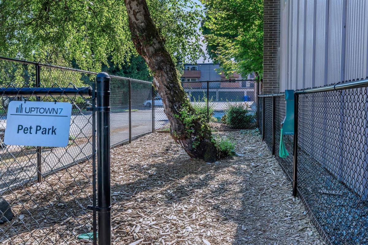 Apartment for rent at 2910 N 7th St, Tacoma, WA 98406