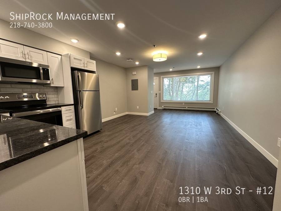 Apartment for rent at 1310 W 3rd St #12, Duluth, MN 55806