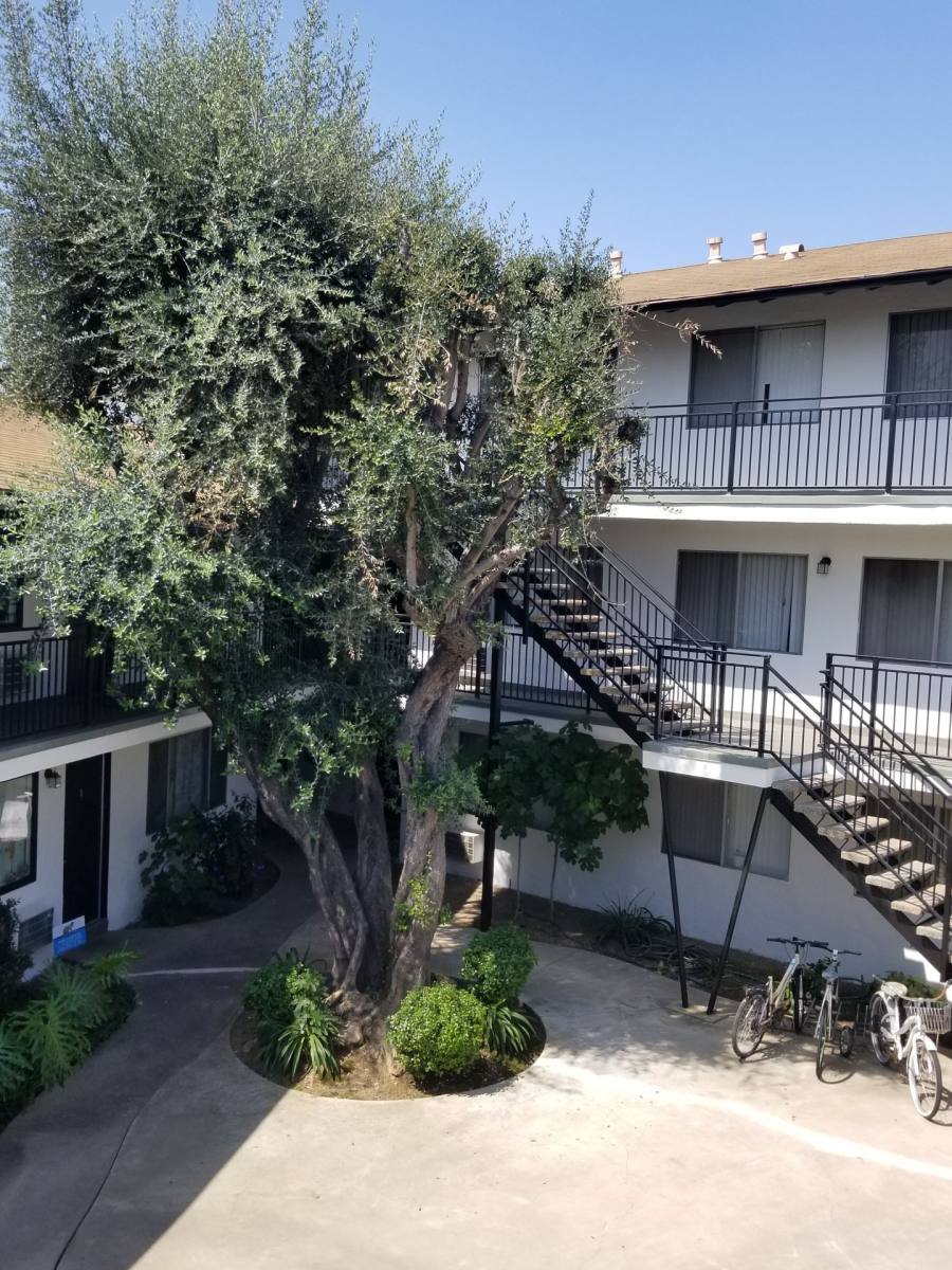 Apartment for rent at 1201 W Mission Rd, Alhambra, CA 91803