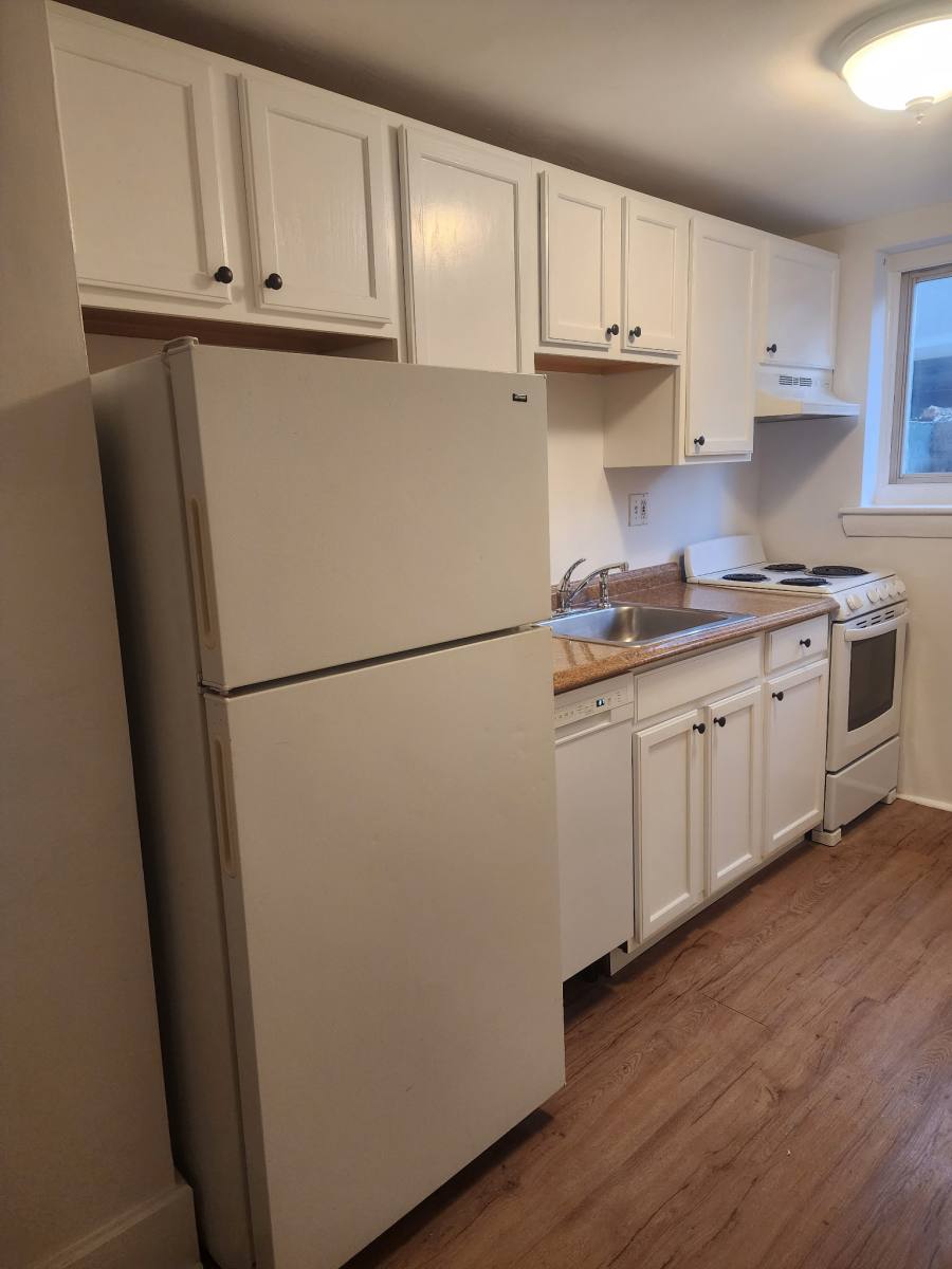 Apartment for rent at 63 Selkirk Rd, Brighton, MA 02135