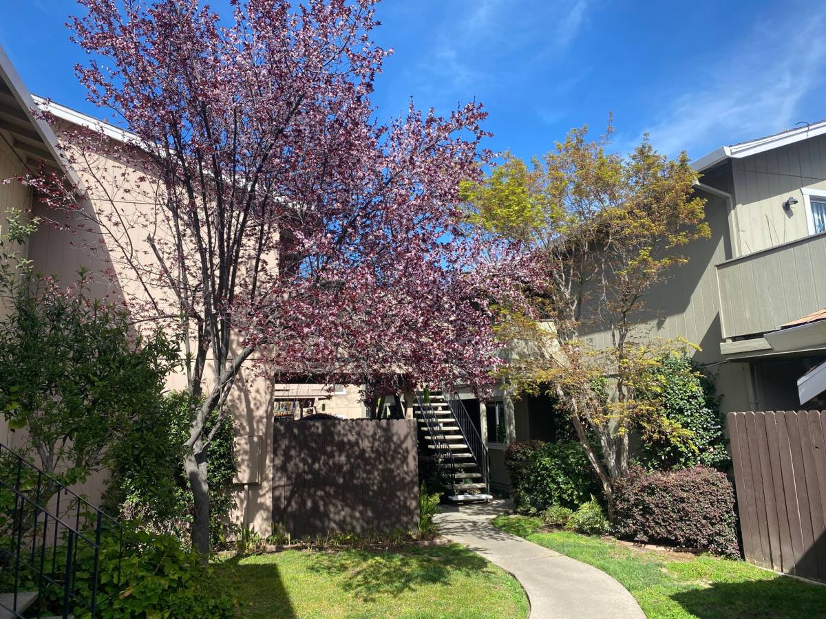 Apartment for rent at 5727 Sutter Ave, Carmichael, CA 95608
