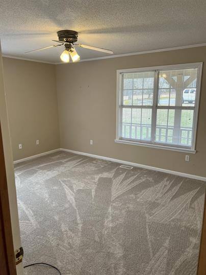 House for rent at 307 Capps Rd, Walhalla, SC 29691