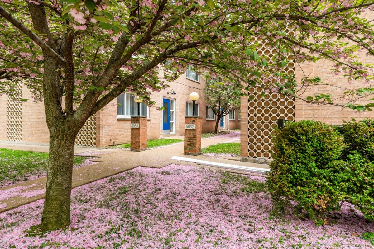 Apartment for rent at 5086 Waterman Blvd #5086 2C, Saint Louis, MO 63108