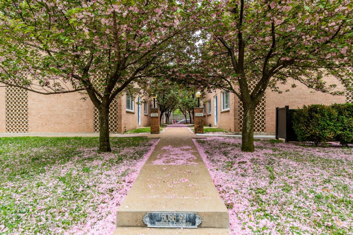 Apartment for rent at 5086 Waterman Blvd #5086 2C, Saint Louis, MO 63108