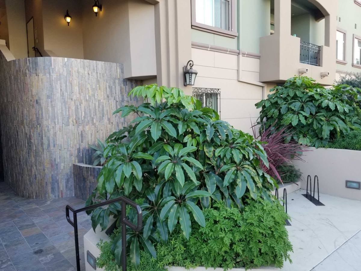 Apartment for rent at 10960 Bloomfield St #PH-11, North Hollywood, CA 91602