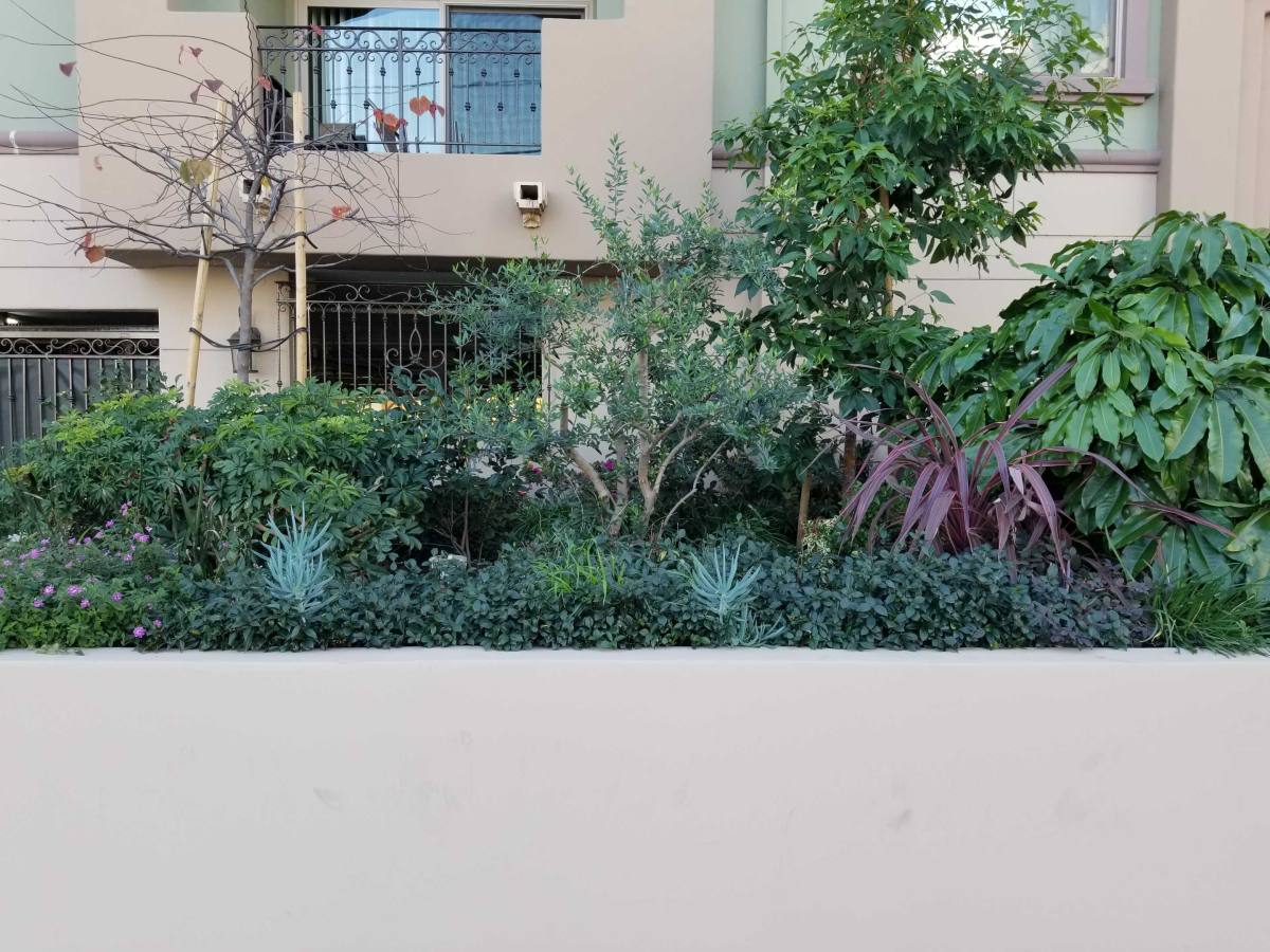 Apartment for rent at 10960 Bloomfield St #PH-11, North Hollywood, CA 91602
