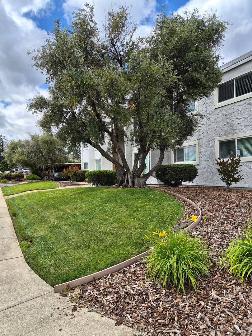 Apartment for rent at 2364 Las Plumas Ave, Oroville, CA 95966