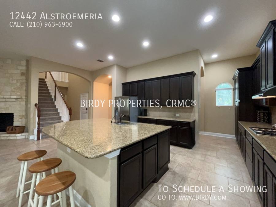House for rent at 12442 Alstroemeria, San Antonio, TX 78253