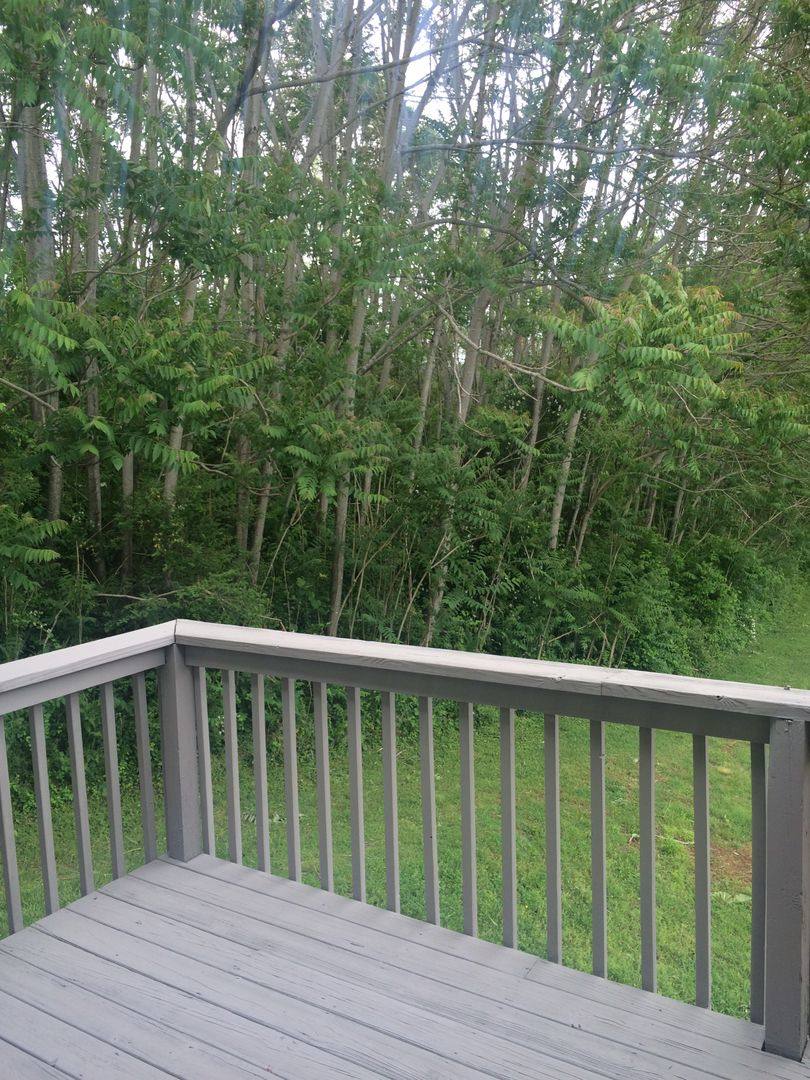 Apartment for rent at 814 Rich Acres Rd, Johnson City, TN 37601