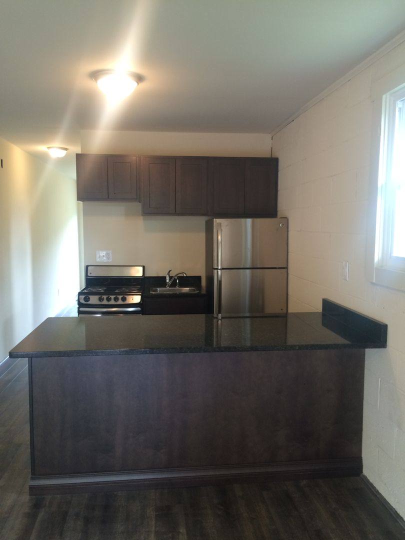 Apartment for rent at 814 Rich Acres Rd, Johnson City, TN 37601