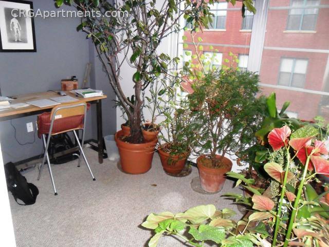 Apartment for rent at 160 E Berkeley St #518, Boston, MA 02118